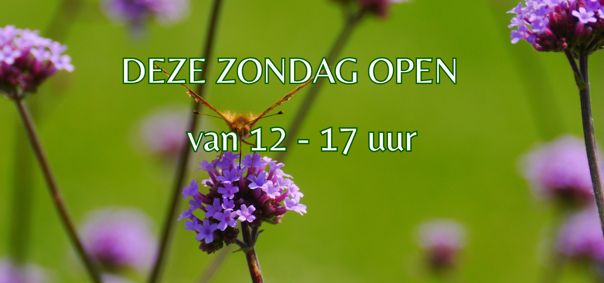deze zondag open