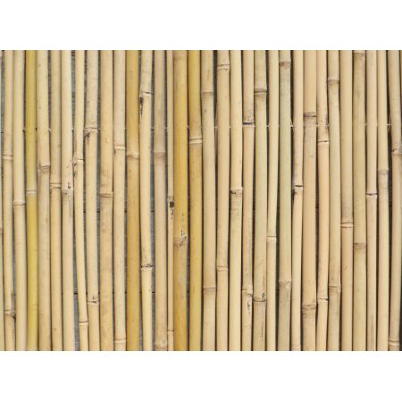 Bamboe op rol 180x180  Nihao18-22mm